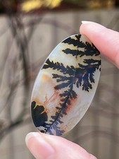 Large Shazar Dendrite / Dendritic Agate Polished Cabochon Rare 6.6g 33 Carats 8 picture