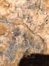 1+ Pounder A Truly Unique Rough Specimen Jasper Specimen Collect Cab Or Carve  picture