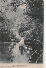 Vintage Postcard  Brook Scene Hasbrouck New York picture