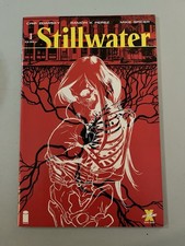 Stillwater #1 Chip Zdarsky Perez Cover A 1st Print 2020 Image TV SERIES NM picture