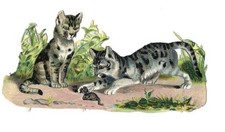 1888 Chromo decoupis, VICTORIAN CAT & MOUSE GAMES Antique Die-Cut Scrap, 4
