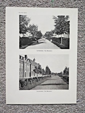 Letchworth Garden City, The Broadway - Antique Print - 1925 picture