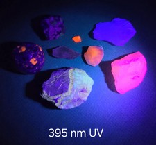Fluorescent Minerals Collector Set picture
