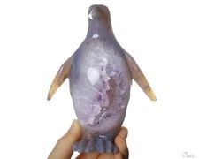 6.1