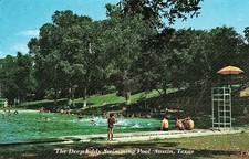 Austin Texas The Deep Eddy Swimming Pool Swimmers Landscape Postcard COPY #76493 picture