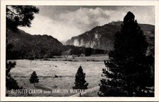Blodgett Canyon Hamilton Montana Vintage Postcard Graycraft Natural Finish picture