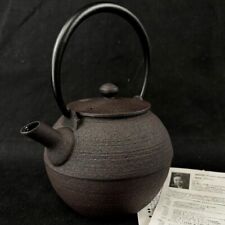 Chushin Kobo Iron Teapot Made by Hisanori Masuda from Japan picture
