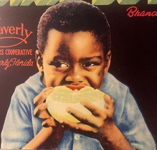 Vintage 1930s Dixie Boy Crate Label, Waverly, FL, Adorable Child picture