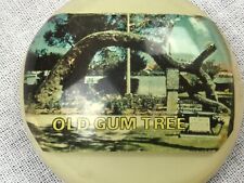 Vintage Old Gum Tree Fridge Magnet picture