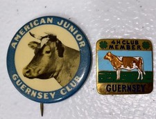 Vtg American Junior Guernsey Club + 4H Club Cow Pin Badge picture