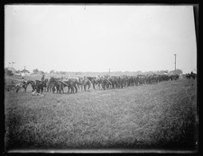 Photo:U.S. Cavalry picture