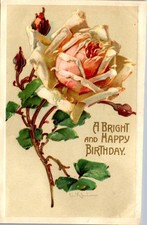 VTG Artist Signed C KLEIN Flower Postcard Birthday Embossed Rose c1909  picture