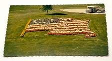 Ellis Post Card Co. Rocky Reach Dam Wenatchee WA Flag Postcard Unposted picture