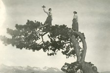 Two Women Standing in a Jeffrey Pine Yosemite 1890s - 5 x 7 inch Photo Print picture