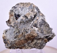 5.3cms NATIVE SILVER WIRE PERU ACANTHITE UCHUCCHACUA MINE MINERAL SPECIMEN HB170 picture