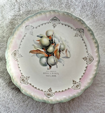 Antique Advertising Plate D.E.McNICOL POTTERY EAST LIVERPOOL 9in.  1890s -1910s picture