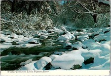 Winter Scene On Little Pigeon River Smoky Mountains Park Vintage Postcard TPQ29 picture