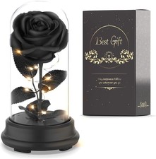 Deluxsa Forever Preserved Black Rose Birthday Gifts for Women,Eternal picture