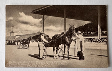 ca 1910s Postcard NY State Fair The Harvester Trotting Race Horse Stallion picture