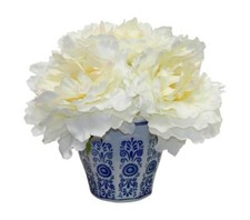 Peony, Blue/White Pot, Cream - 8