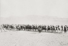 Algeria Algerian Cavalry Mounted Riders Guns Desert Vtg. Photo Late 19thC. picture