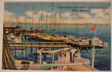 Shrimp and Oyster Industry Postcard Biloxi Mississippi Unposted MS Vintage Boats picture
