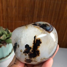 83mm Natural aquatic plants agate pretty Crystal specimens 427g A1482 picture