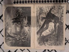 Harper’s Weekly, November 15, 1862 – Winslow Homer “Sharpshooter on Picket Duty, picture