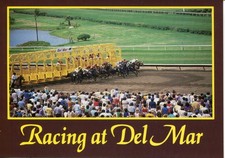 Del Mar CA Racetrack Horse Racing Starting Gate Continental Chrome Postcard picture