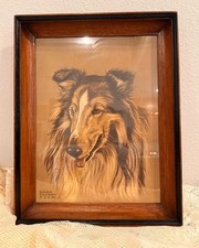 Vintage Gladys Emerson Cook Rough Collie Dog Art Print Framed 19x15 Mid Century picture