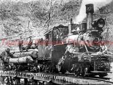 Champion Fibre Co. 3 near Robbinsville. NC. - Climax 40ton  NEW 8x10 PHOTO picture