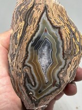 490g Rare Petrified Wood Agate Raw Specimen Ankara Turkey Origin picture