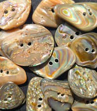 Vintage Abalone Shell Buttons 13 Large Freeform Iridescent Paua Mother of Pearl picture