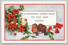 Vintage Christmas Greetings to You Postcard Birds Holly Berries Snow 1920s picture