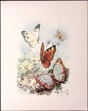 1973 Italian Line SS Leonardo Da Vinci First Class Luncheon Menu Butterfly Cover picture