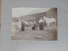 Afton Oklahoma Indian Territory Photo. pilgrims Horse Cow Bicycle 4 Generations picture