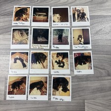 POLAROID Snapshot Photo Vintage Lot Of 15 Various Dogs Puppies Dog picture