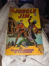 Charlton Comics Jungle Jim 1969 #24 Silver Age Pat Boyette Cover Art Movie Hero picture