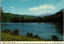 Chilhowee Shoals Landing Little Tennessee River TN Continental Postcard C248 picture