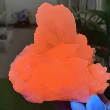 457G Natural Feather Calcite UV Fluorescence Effect Crystal Cluster Mineral picture