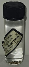 Vintage Knott’s Berry Farm Gold Panning Vial – Real Gold Flakes from the Gold... picture