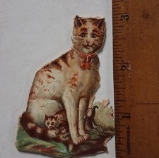 1880s-90s Cat Victorian Mama WITH KITTEN Ephemera 2.5