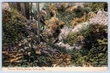 Pre-1907 FAMOUS BLOODY SPRINGS SUNBURY PENNSYLVANIA PA MELICK ANTIQUE POSTCARD picture