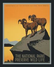 Big Horn Sheep Fridge Magnet, LARGE 3.5 x 4.5 inches, National Park WPA poster picture