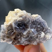 Natural Fluorescent Crystal Cubic Fluorite w/ Gypsum Cluster Specimen Mineral picture