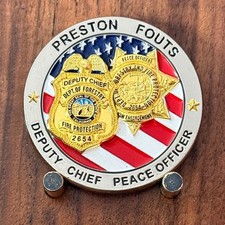 California Fire Protection Deputy Chief This Is Fine Meme Challenge Coin  M#26 picture