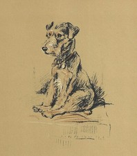Lakeland Terrier - CUSTOM MATTED - Vintage Dog Art Print - 1937 L. Dawson picture