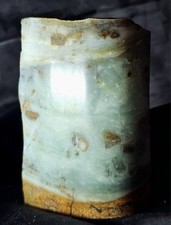 BC OCEAN PICTURE STONE — ONE-OF-A-KIND POLISHED DISPLAY SPECIMEN picture