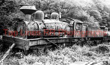 Mower Lumber Co #12 Shay Cass WV 9/6/1954 New 5x8 Photo picture