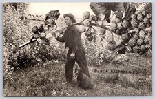 Black Raspberries farmer dog large fruit Stanley Johnson Rppc 1912 picture